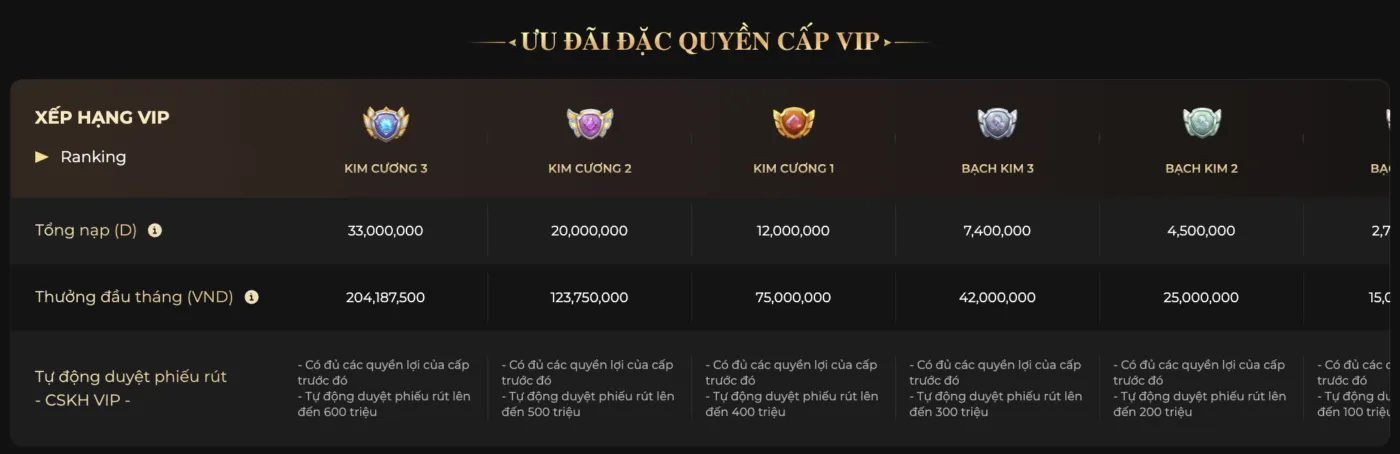 dac-quyen-vip